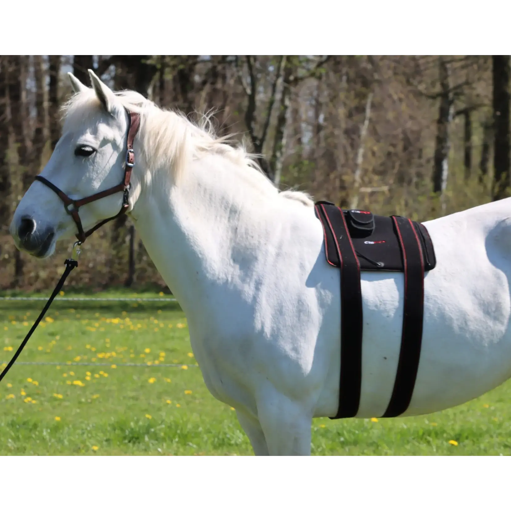 CellKick Bevestigingsstrap