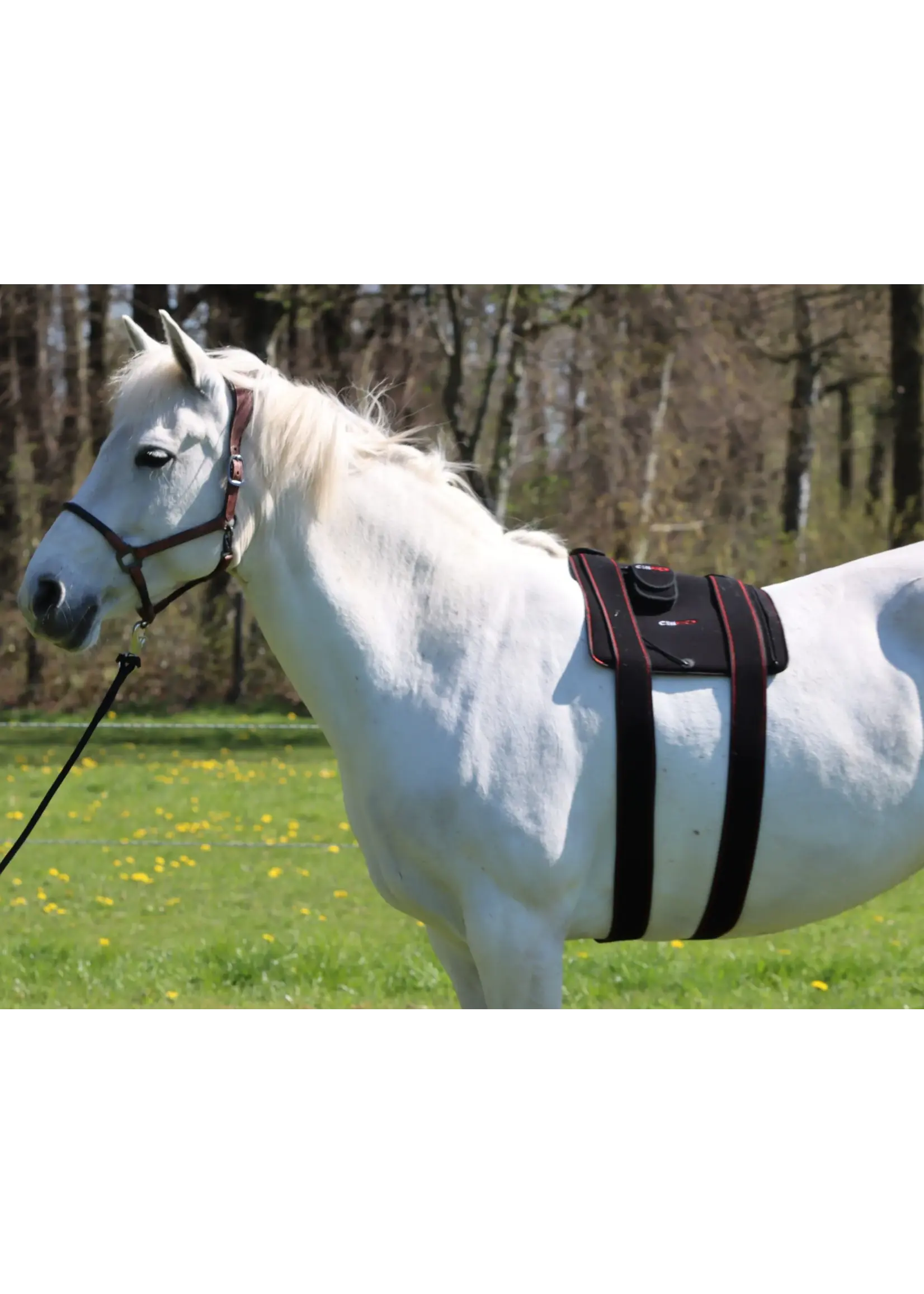 CellKick Bevestigingsstrap