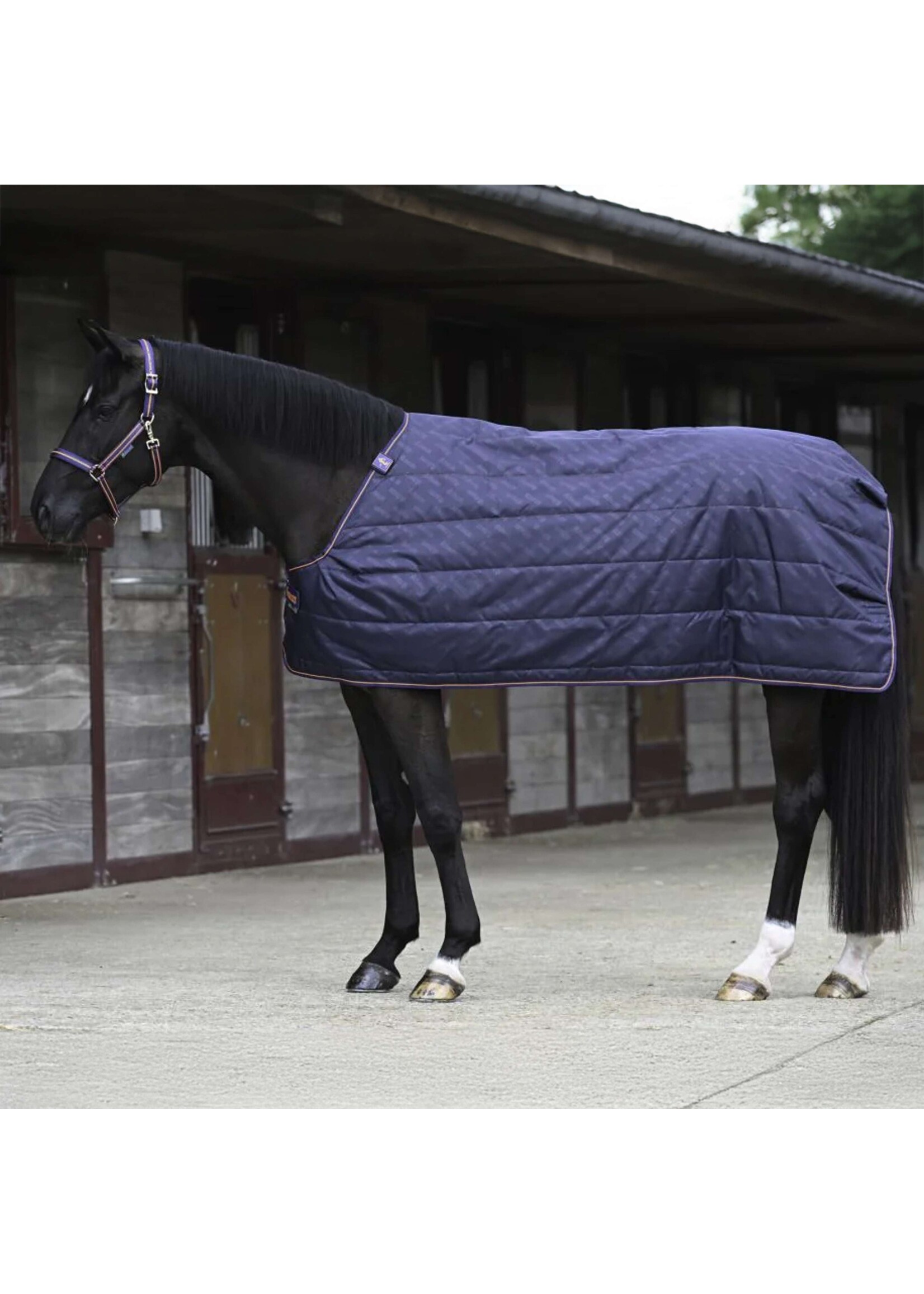 Bucas Bucas Therapy Liner