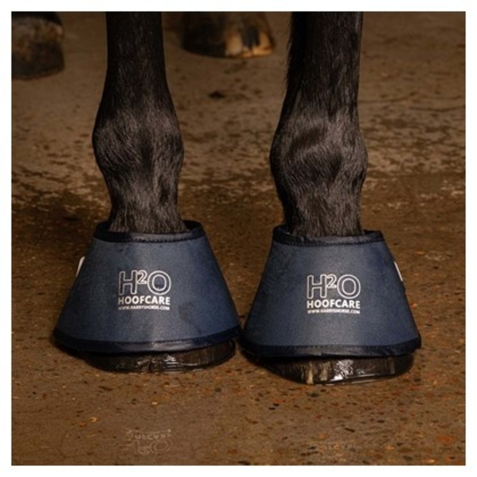 Harry's Horse Hoefbevochtiger