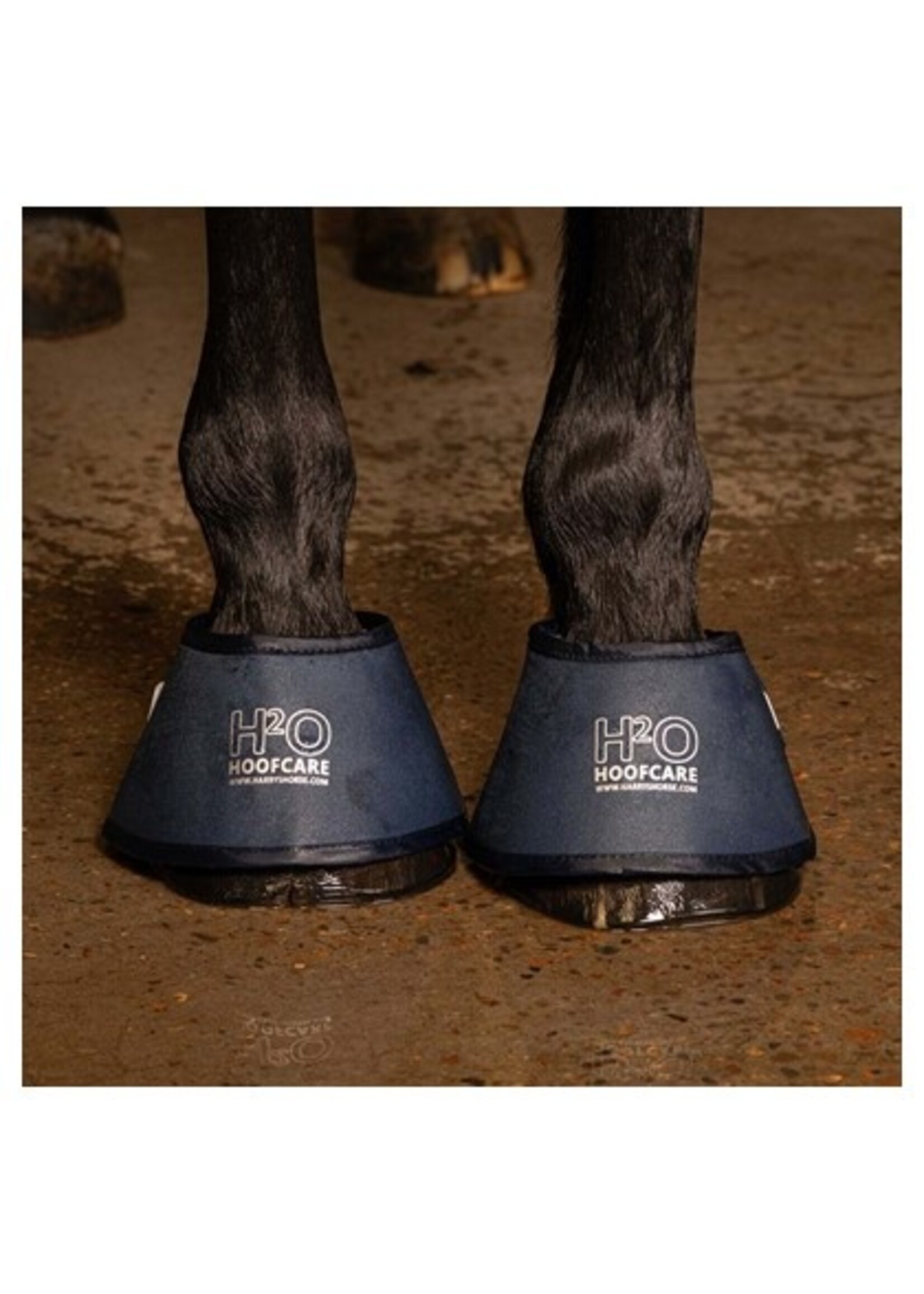 Harry's Horse Hoefbevochtiger