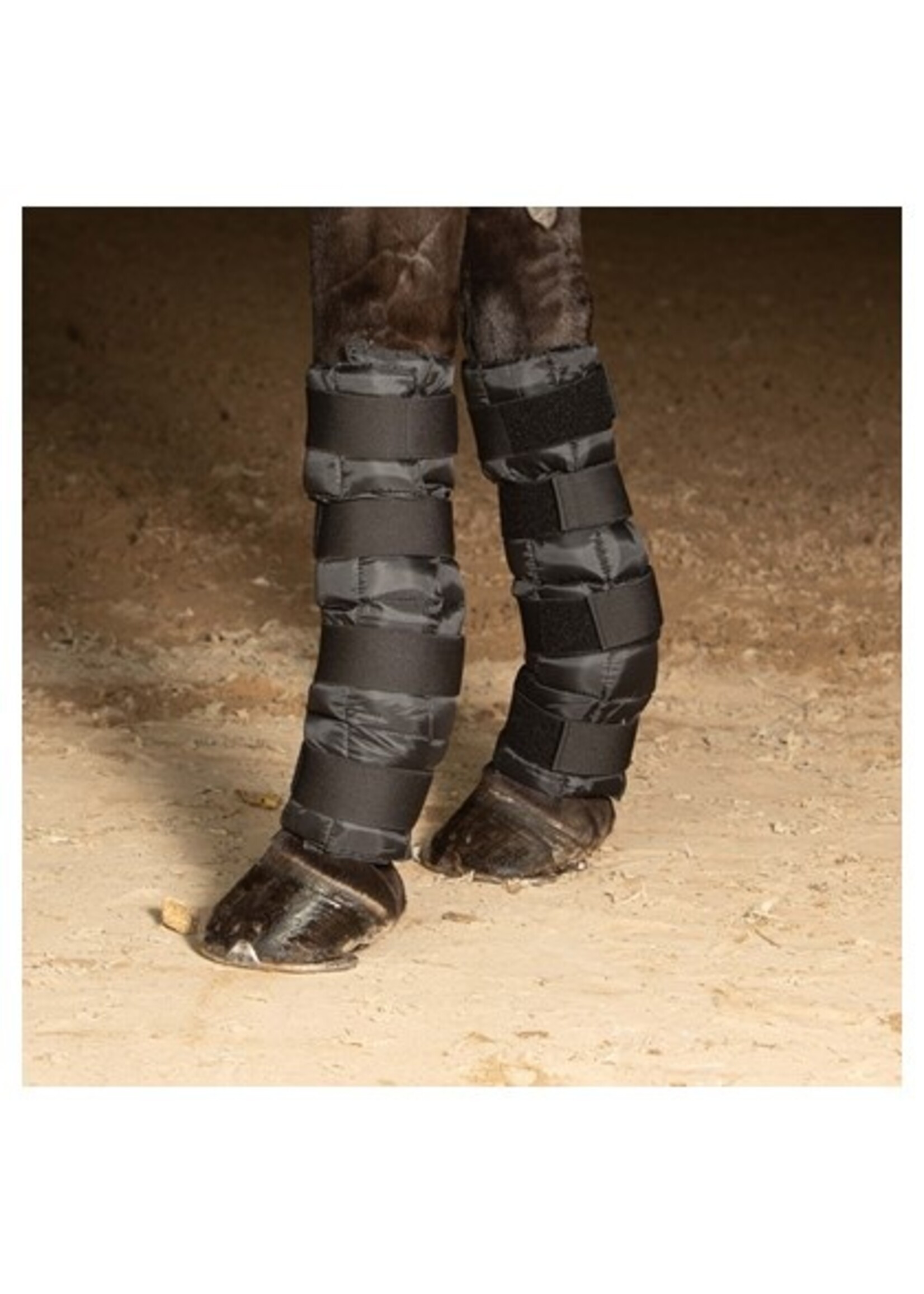 Harry's Horse Cold Wrap (set van 2)