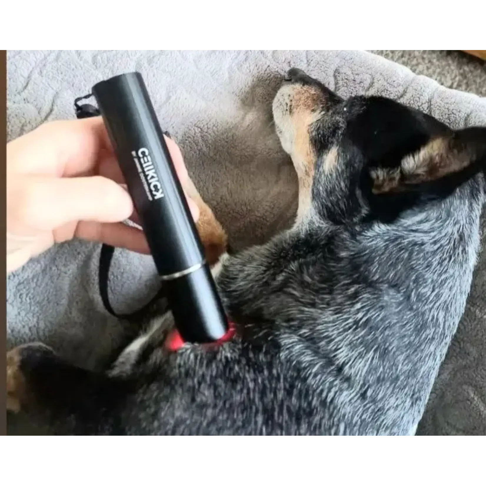 CellKick LLL & Acupressuur Boek