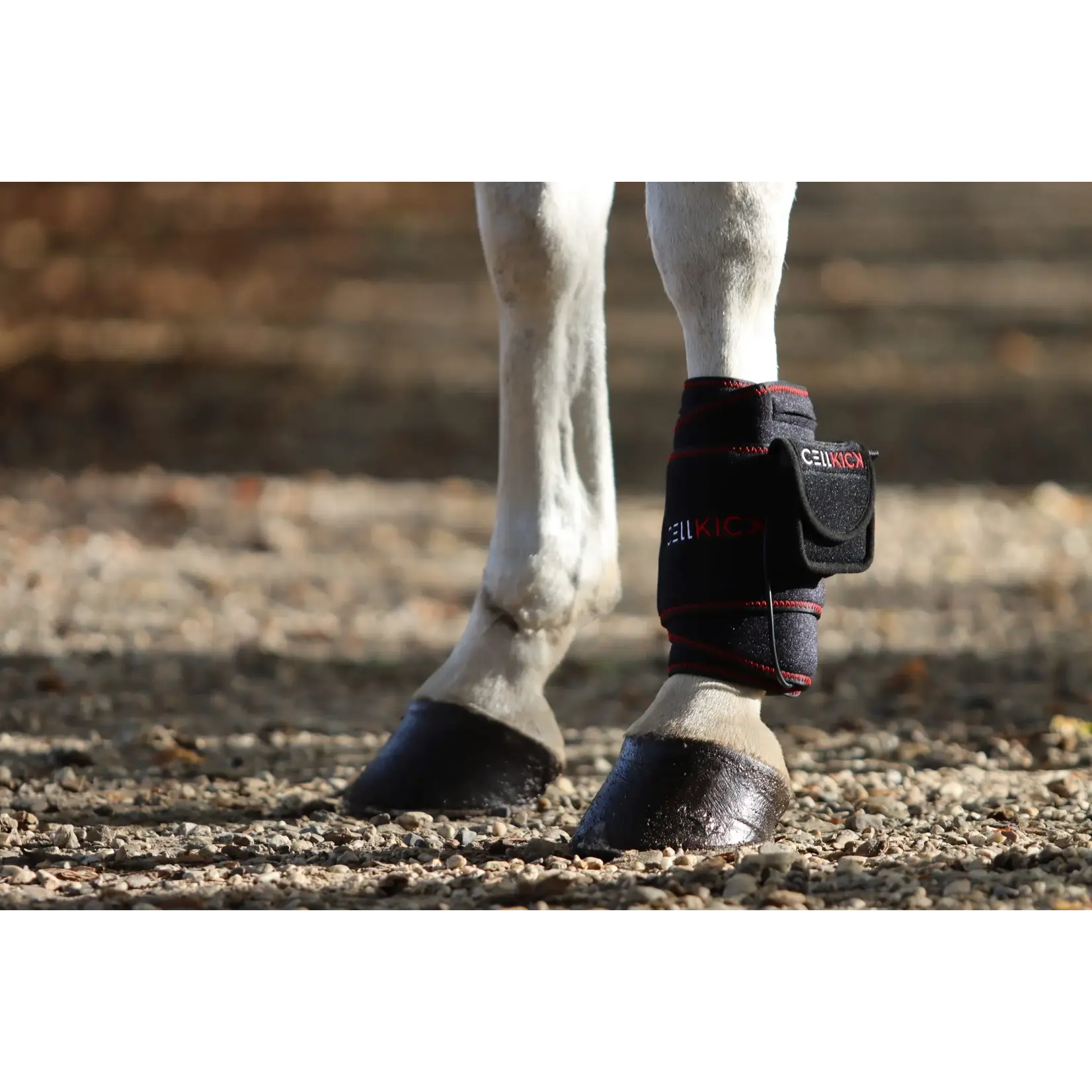 CellKick Beenpad Pro + Topline