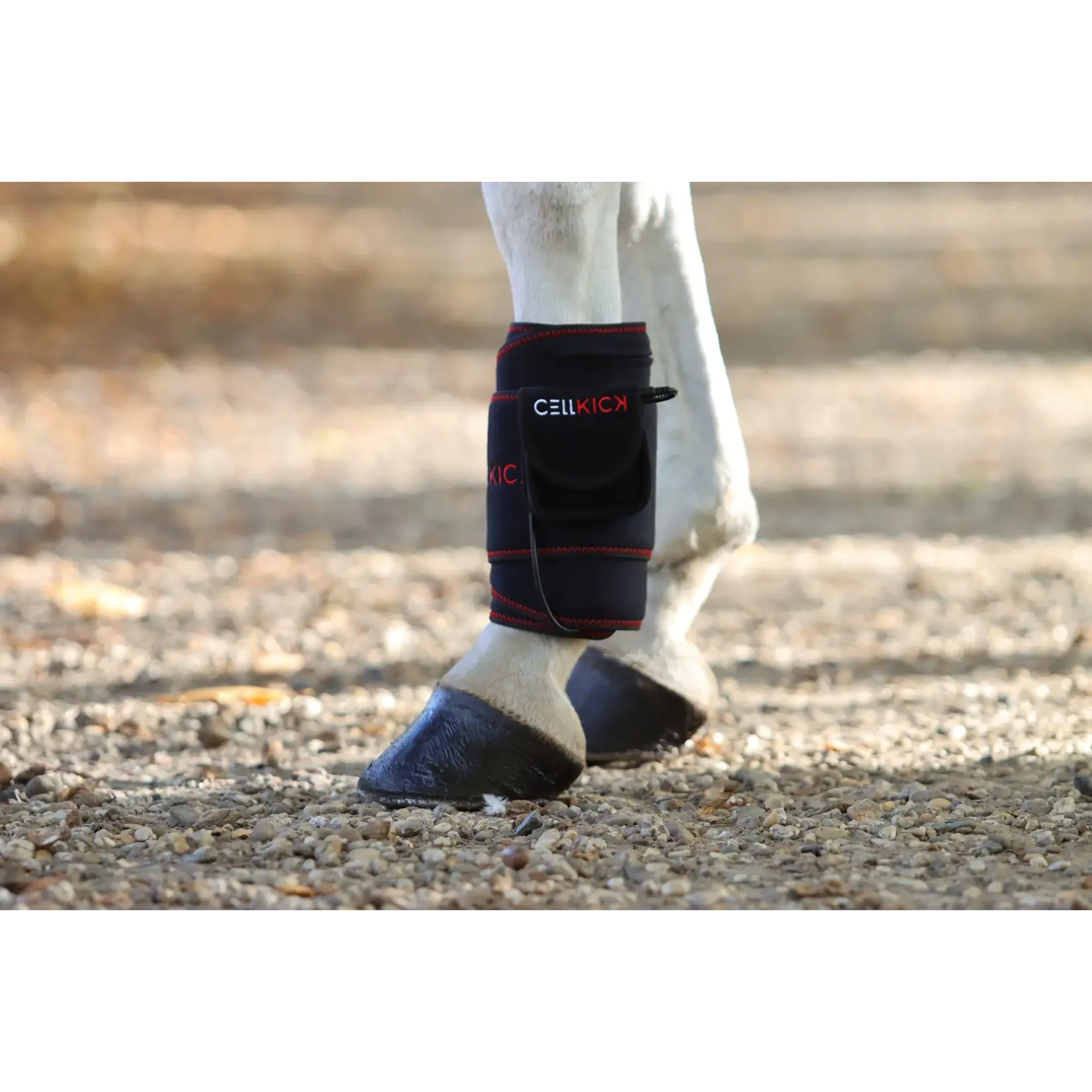 CellKick Beenpad Pro + Topline