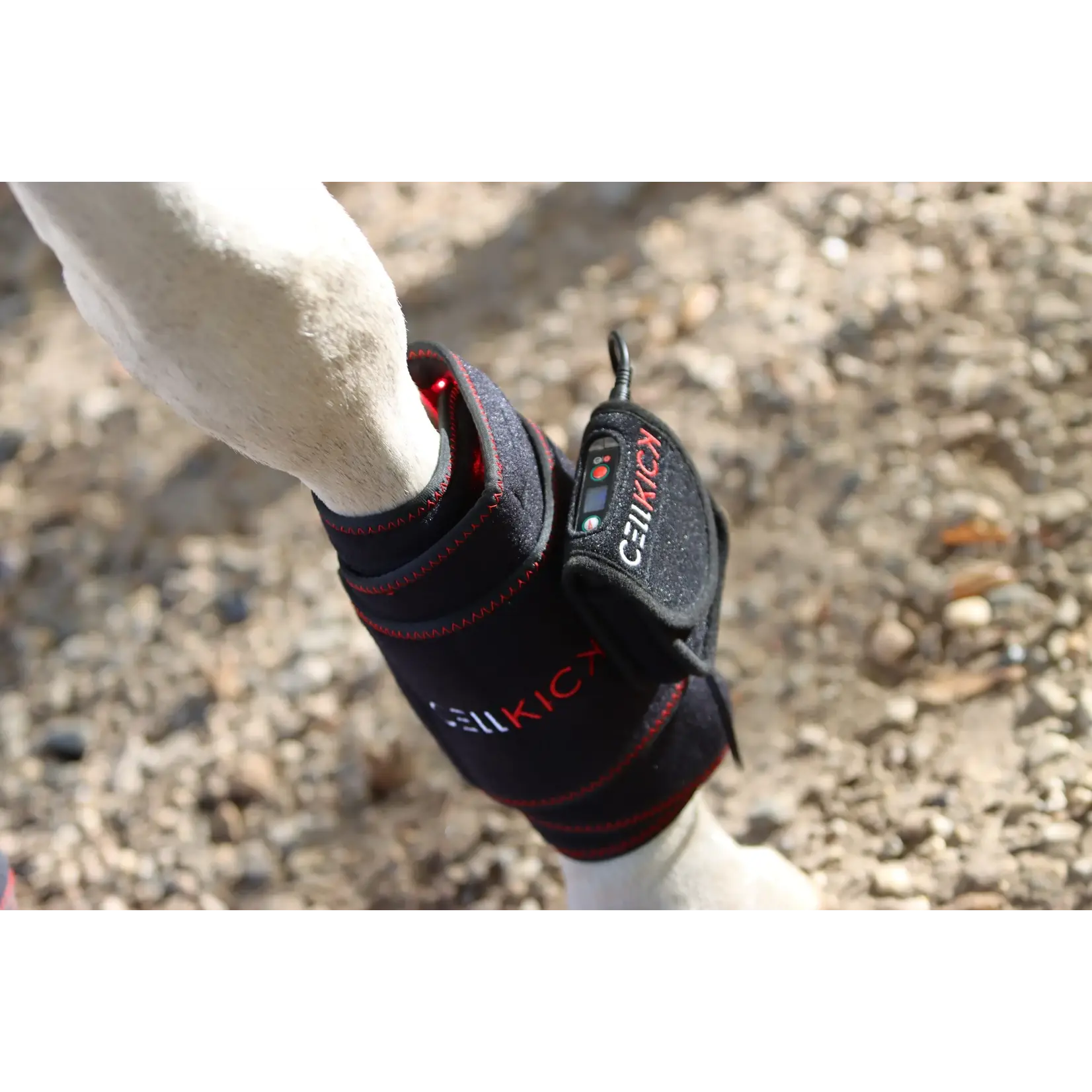 CellKick Beenpad Pro + Topline