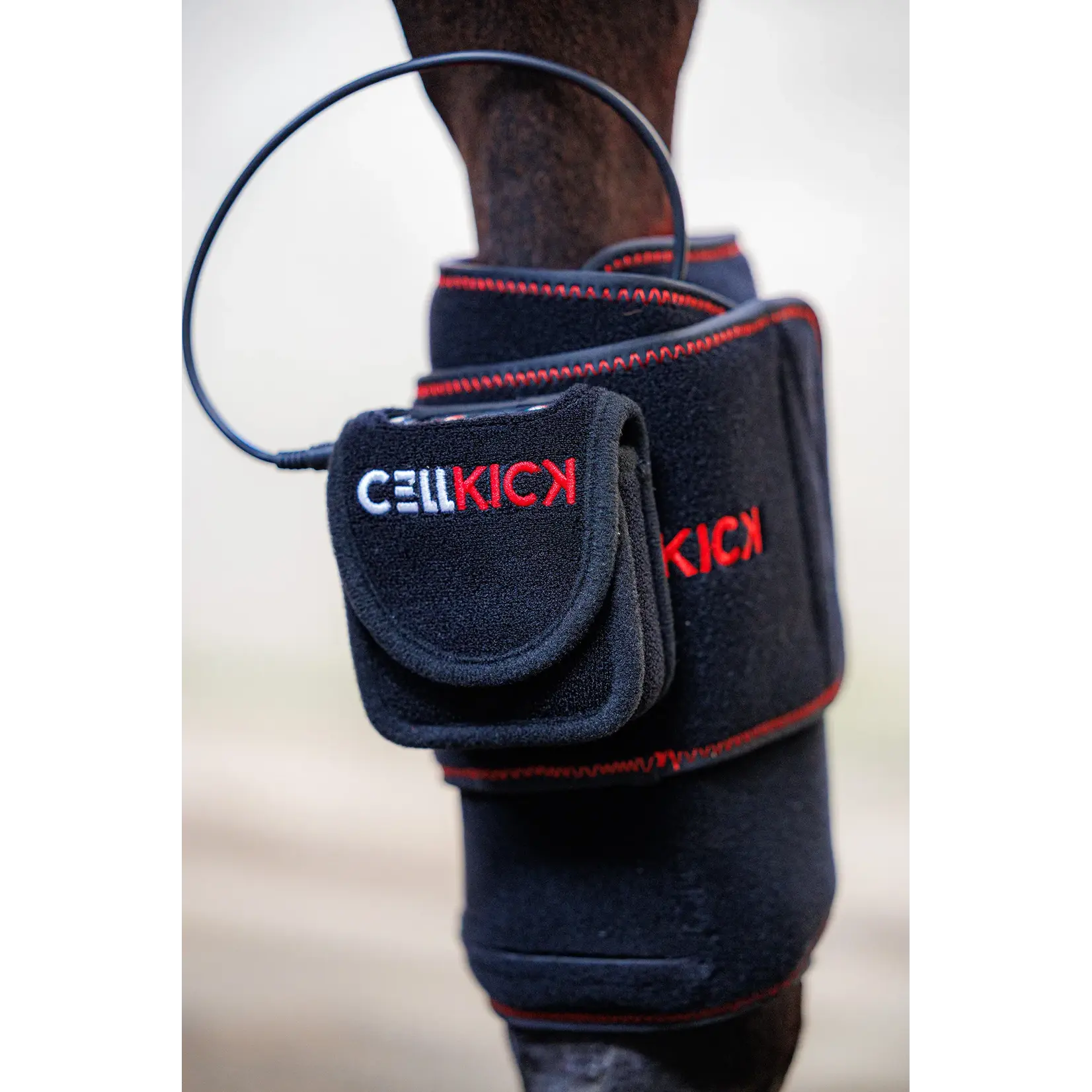 CellKick Beenpad Pro + Topline