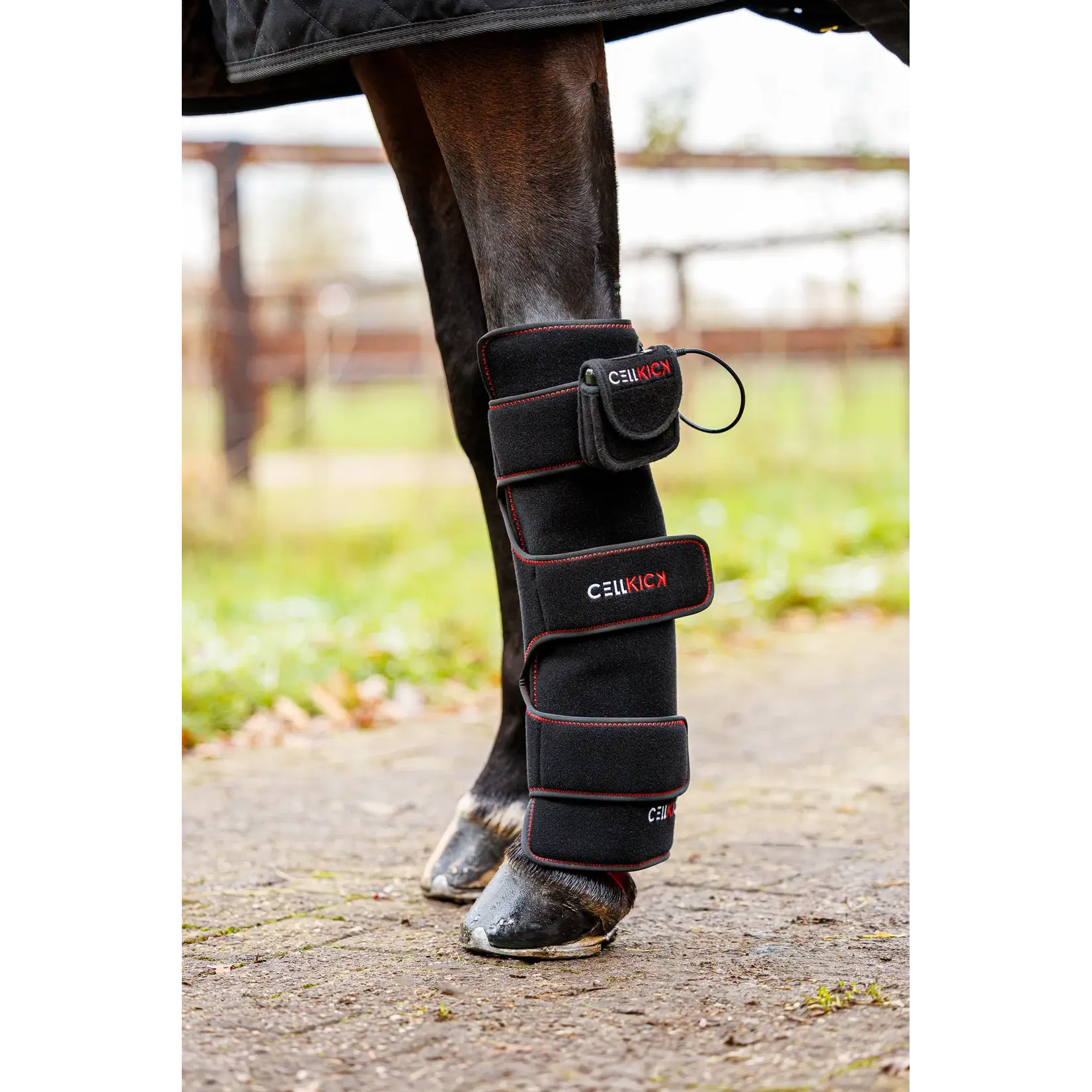 CellKick Beenpad Ultimate + Topline