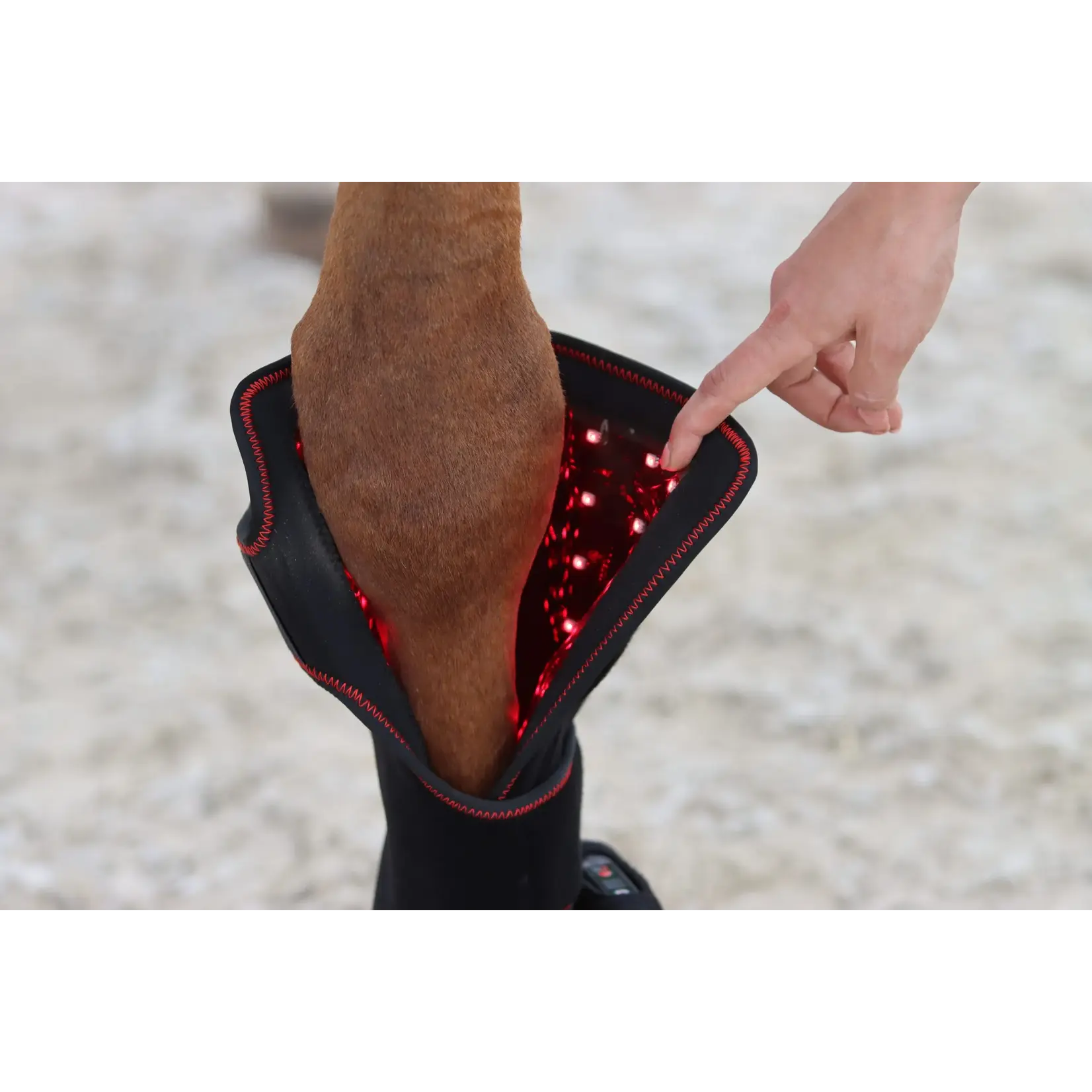 CellKick Beenpad Ultimate + Topline