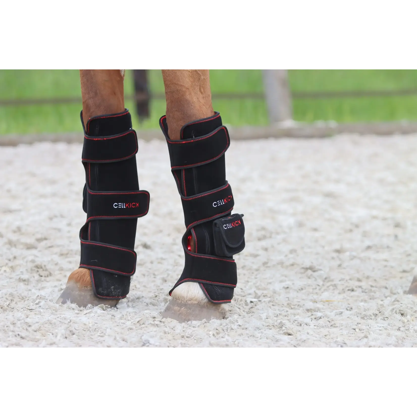 CellKick Beenpad Ultimate + Topline