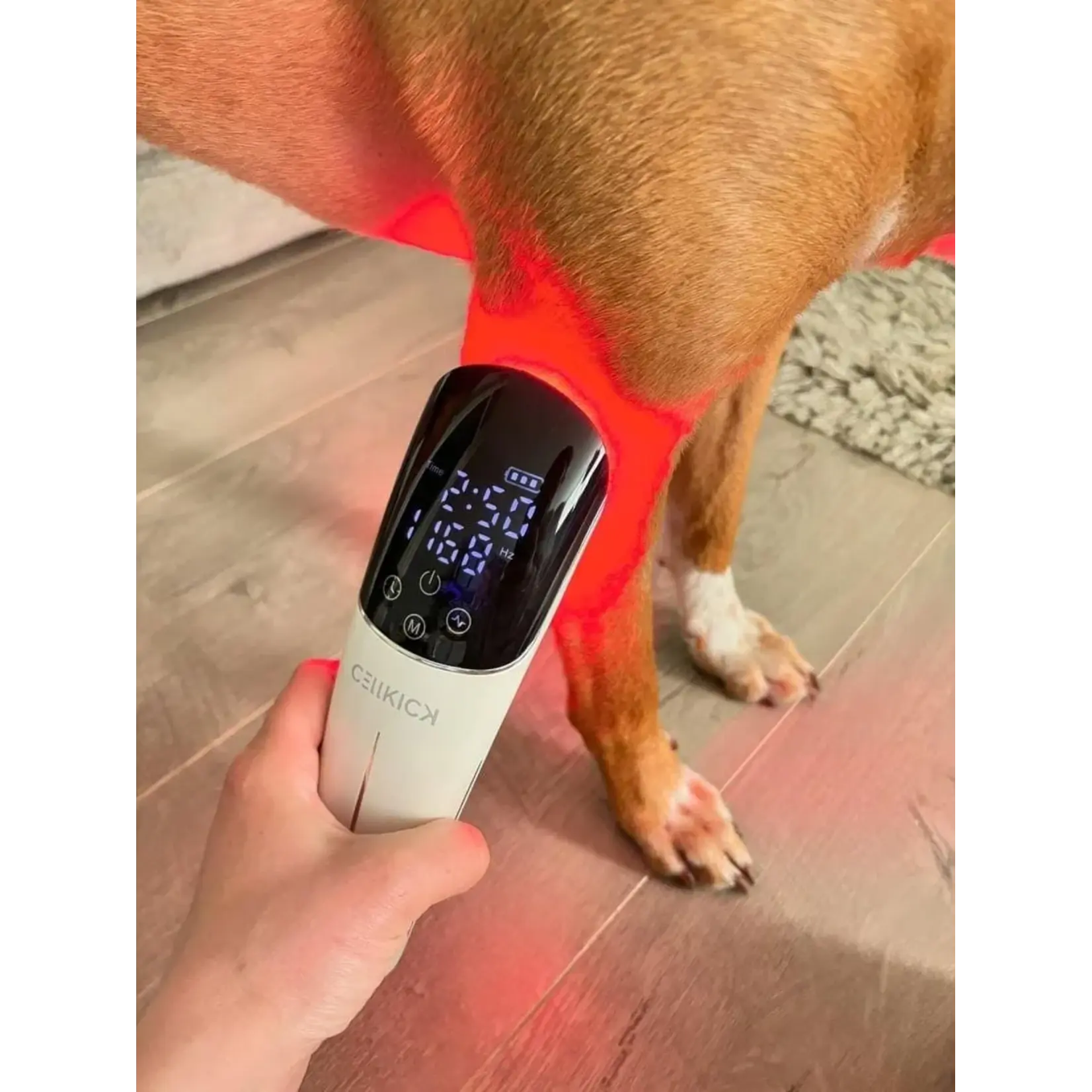 CellKick Beenpad Ultimate + Topline