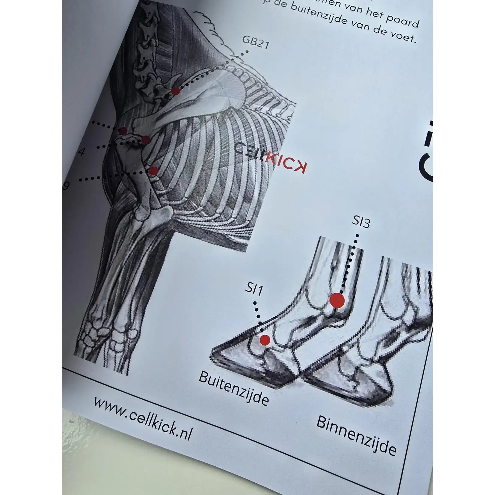 CellKick Acupressuur Kaarten Boek