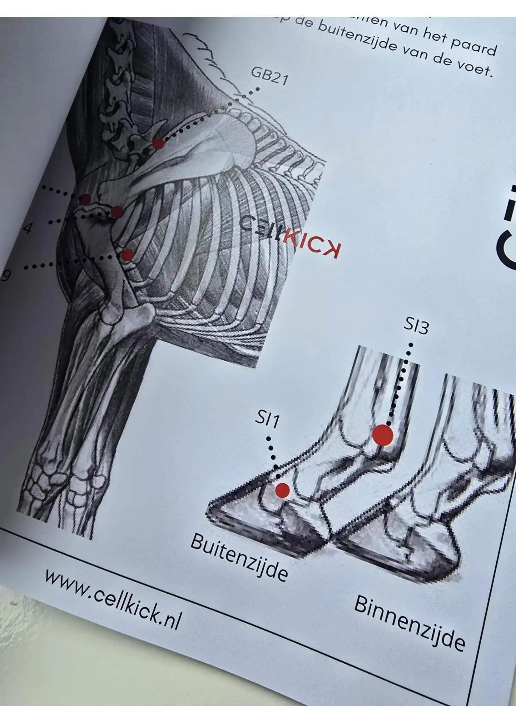 CellKick Acupressuur Kaarten Boek