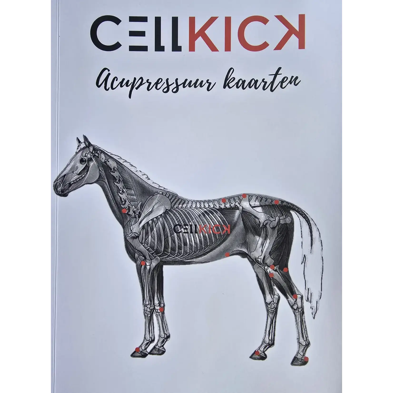 CellKick Acupressuur Kaarten Boek