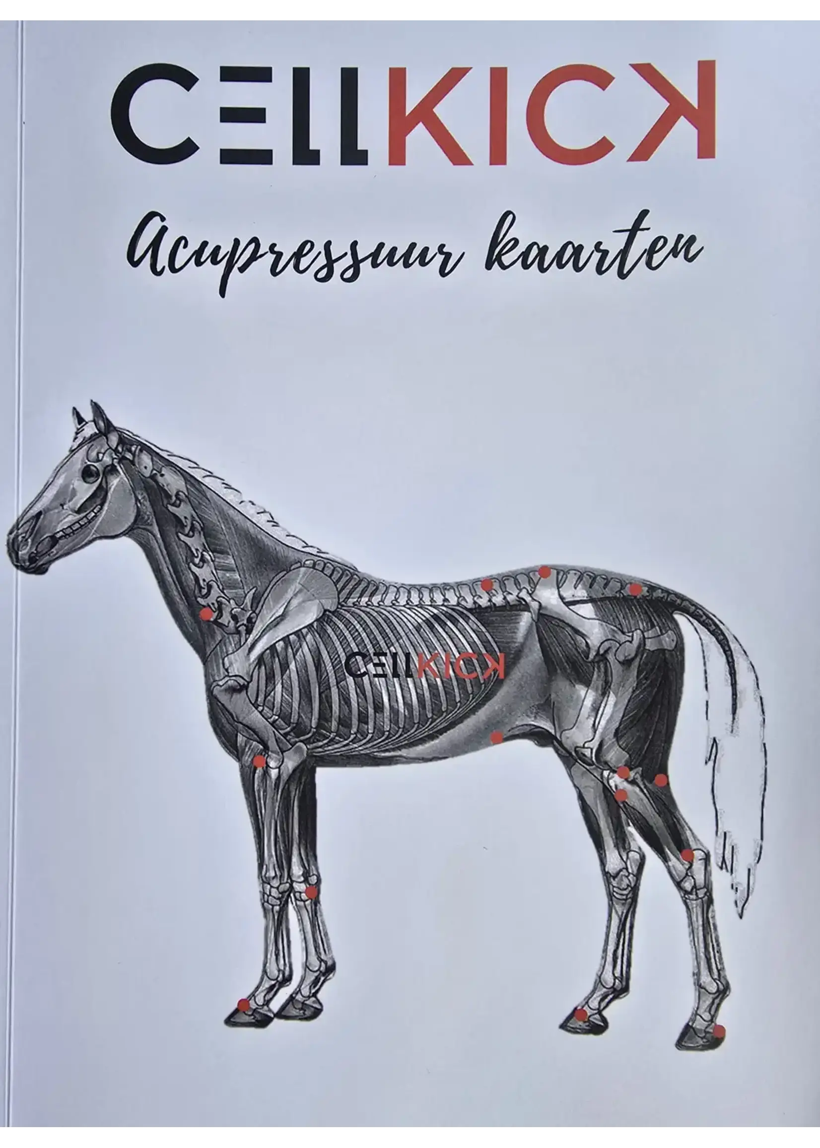 CellKick Acupressuur Kaarten Boek
