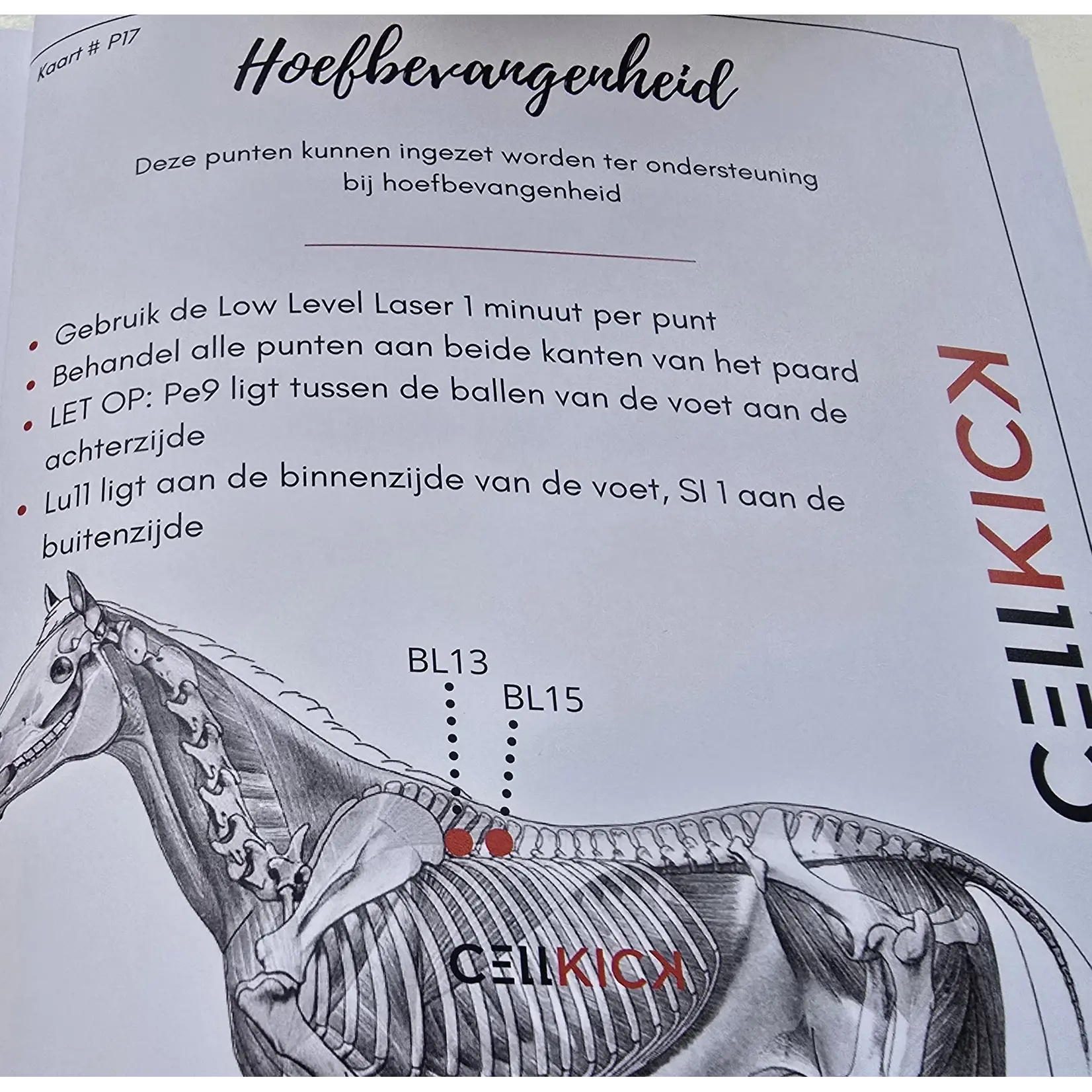 CellKick Acupressuur Kaarten Boek