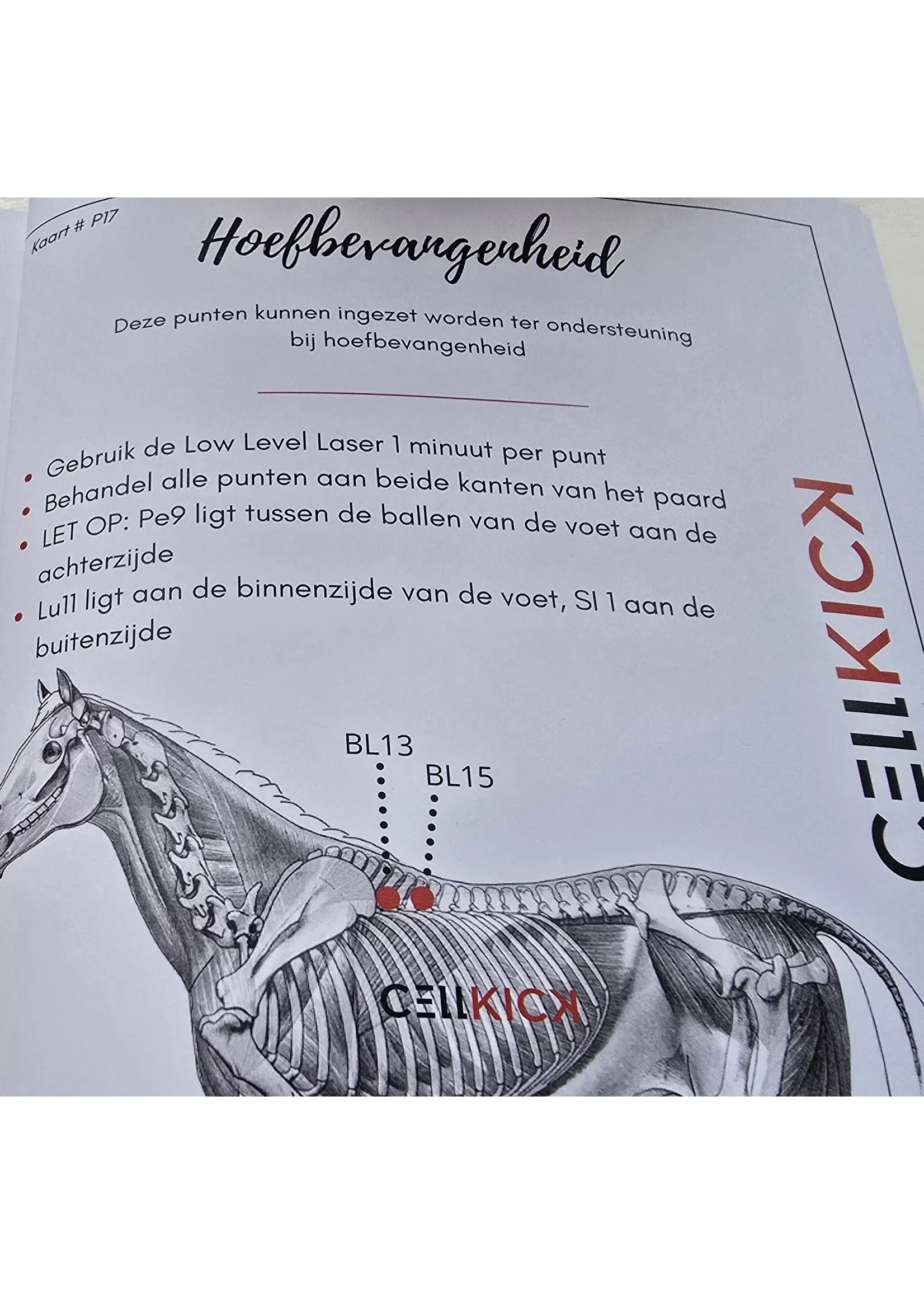 CellKick Acupressuur Kaarten Boek