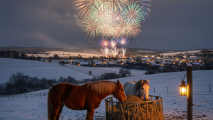 Oud & Nieuw met paarden: Zo loods je jouw paard veilig door het vuurwerk