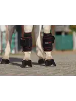 CellKick Beenpad Pro Set