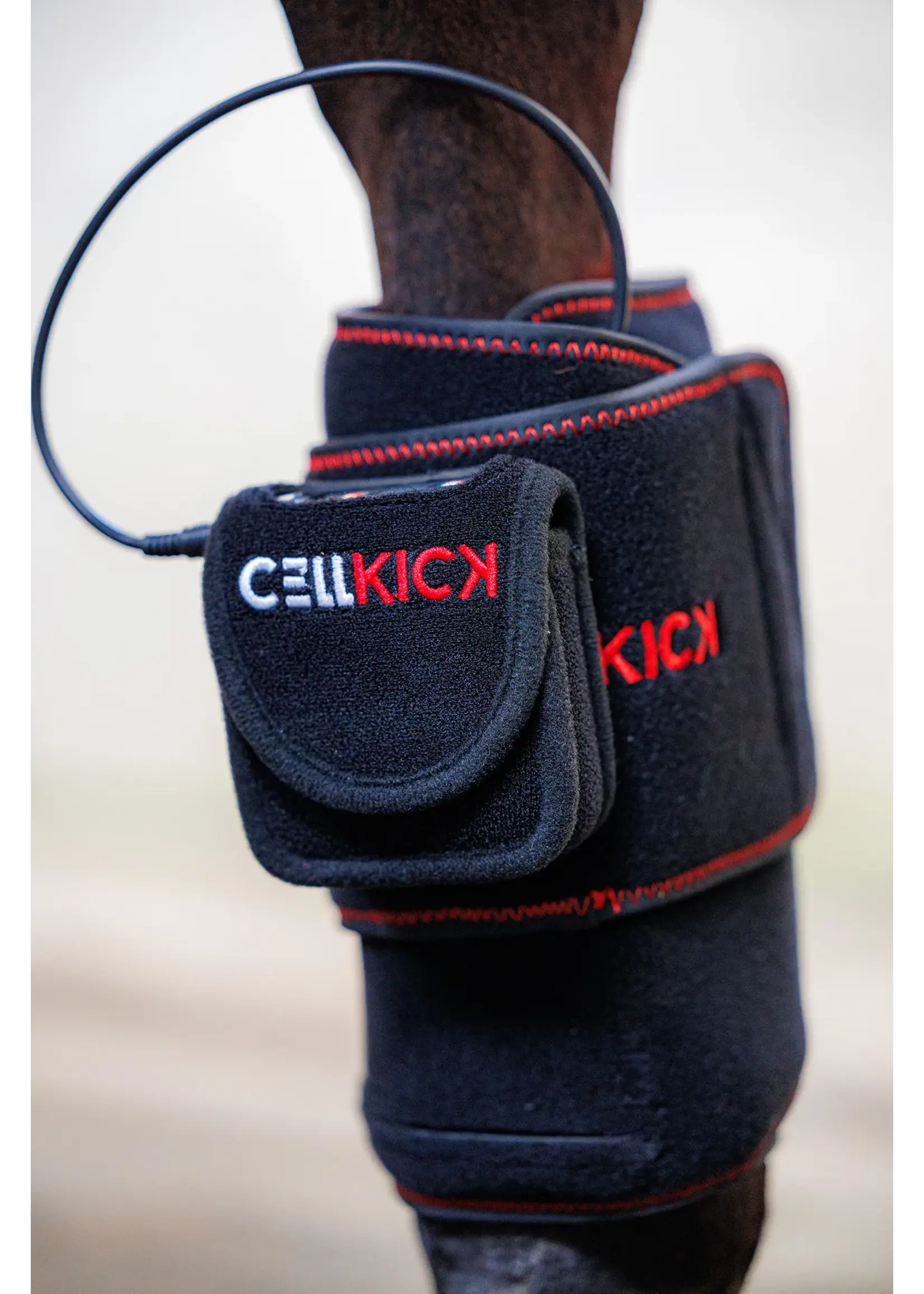 CellKick Beenpad Pro Set