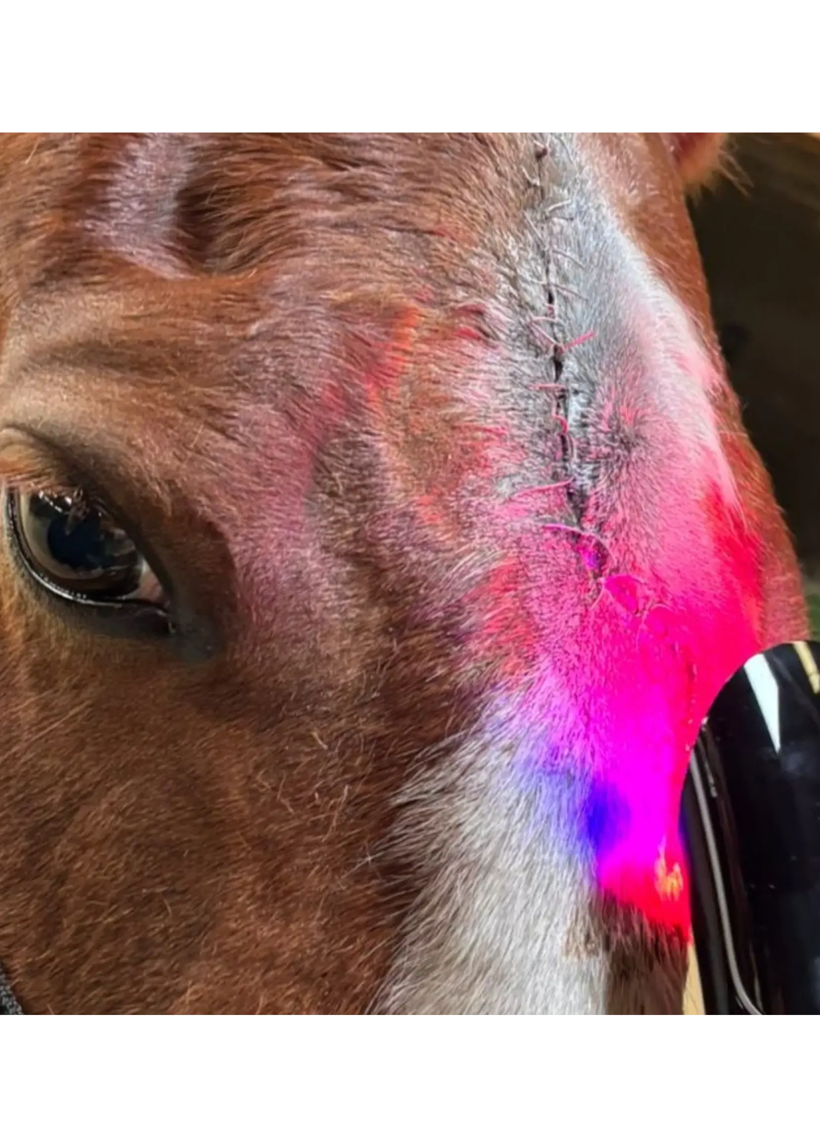 CellKick Handheld Ultra