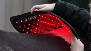 Infrarood Lichttherapie | Een Stralende Toekomst voor de Gezondheid van je Paard