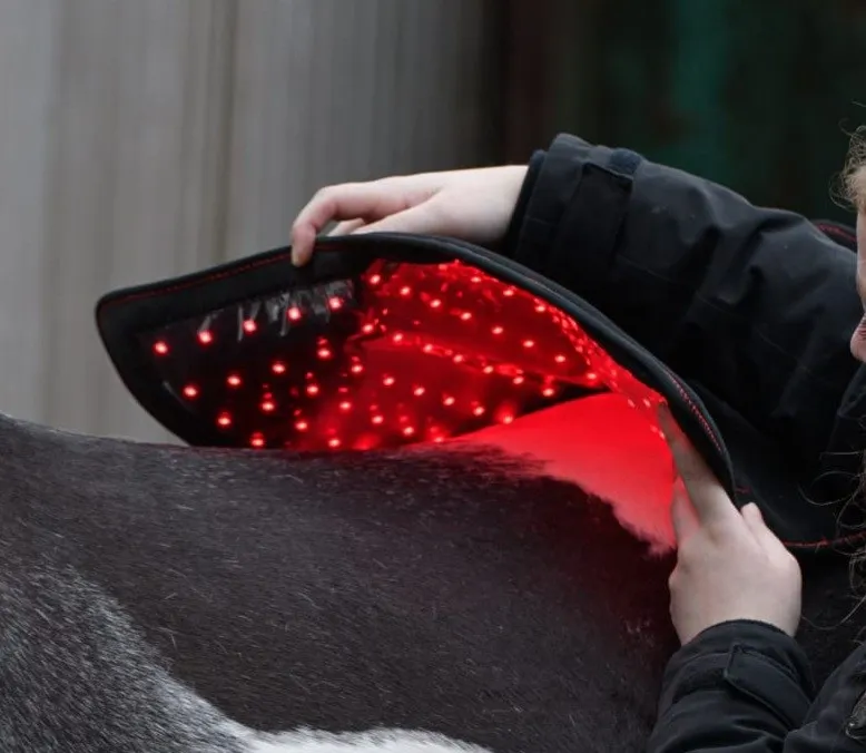 Infrarood Lichttherapie | Een Stralende Toekomst voor de Gezondheid van je Paard