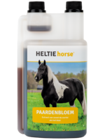 Heltie Horse Heltie Horse Paardenbloem