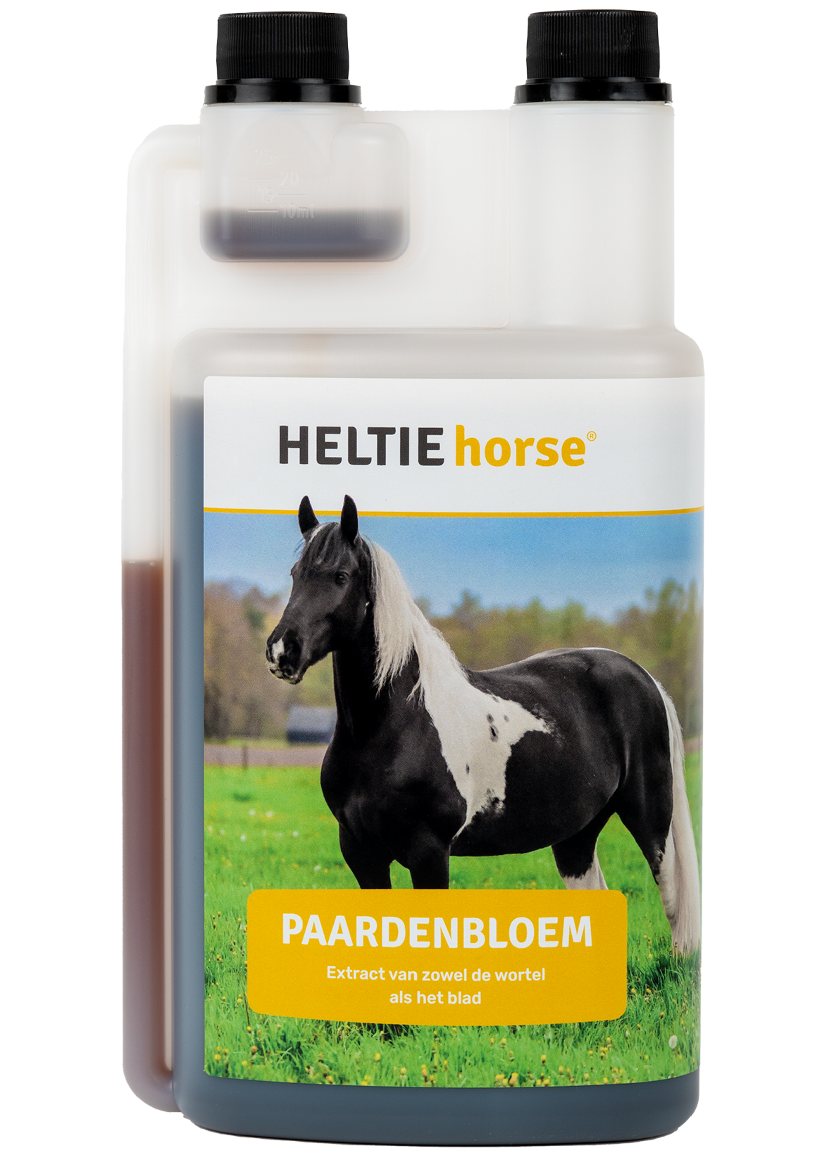 Heltie Horse Heltie Horse Paardenbloem