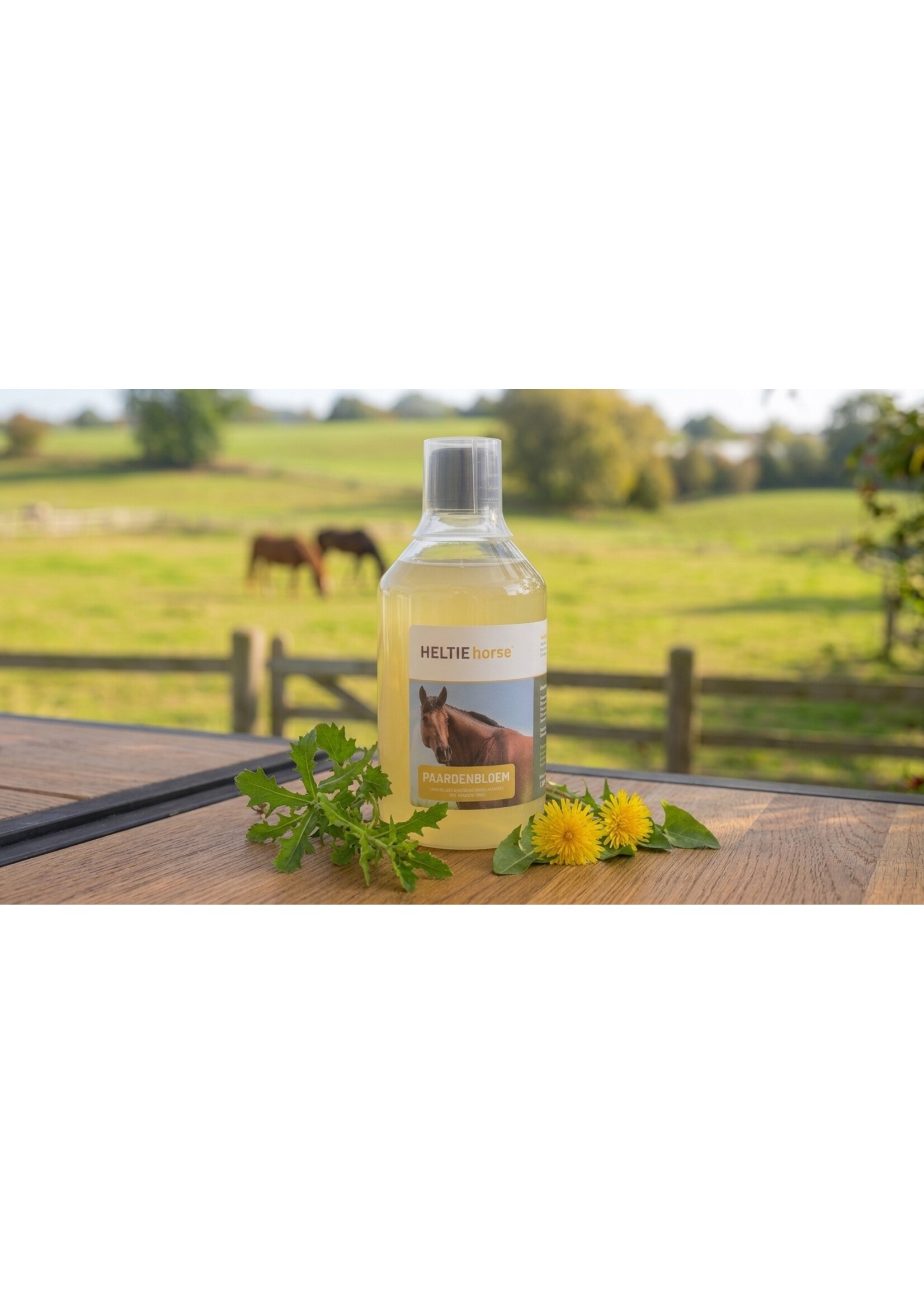 Heltie Horse Heltie Horse Paardenbloem