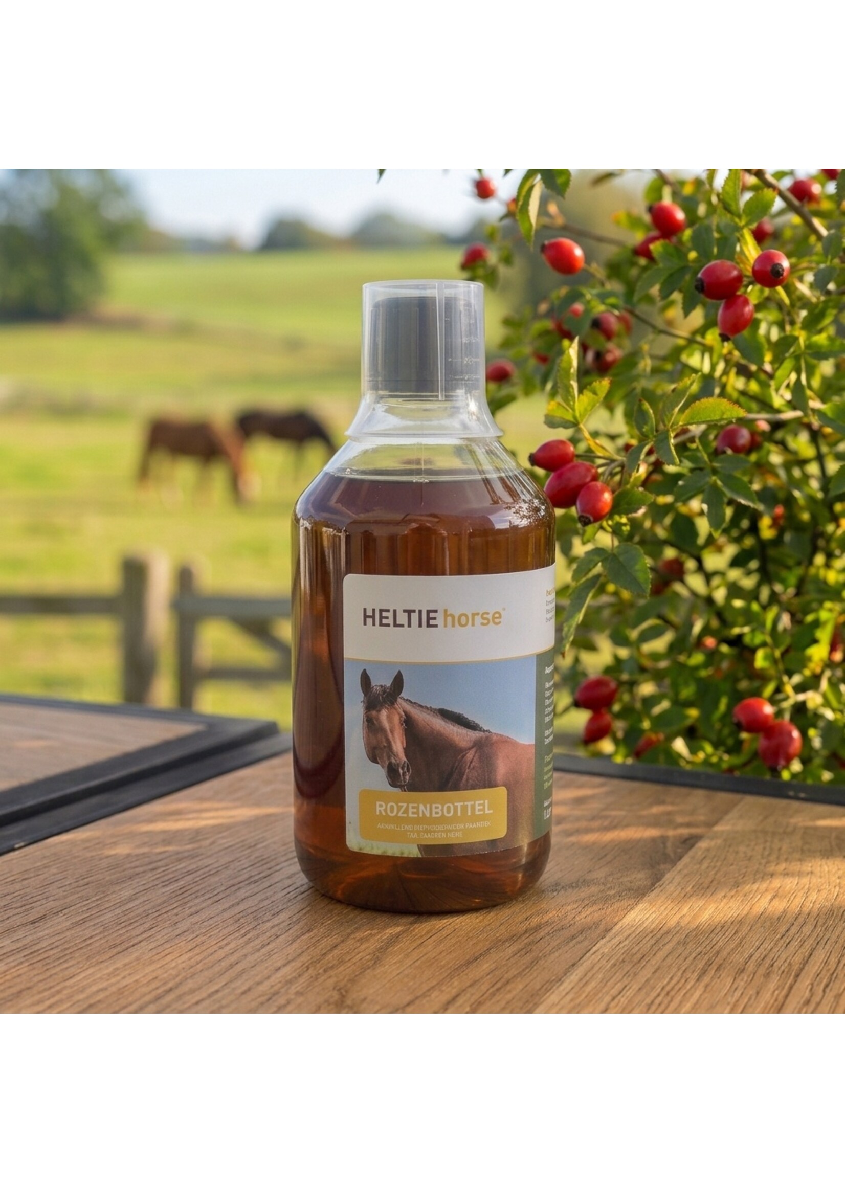 Heltie Horse Heltie Horse Rozenbottel