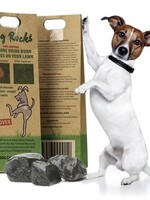 Dog rocks Dog rocks