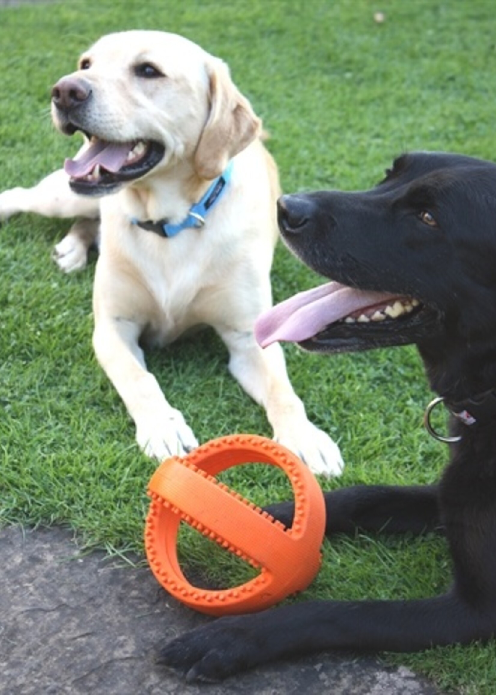 Happy pet Happy pet grubber interactieve voetbal oranje