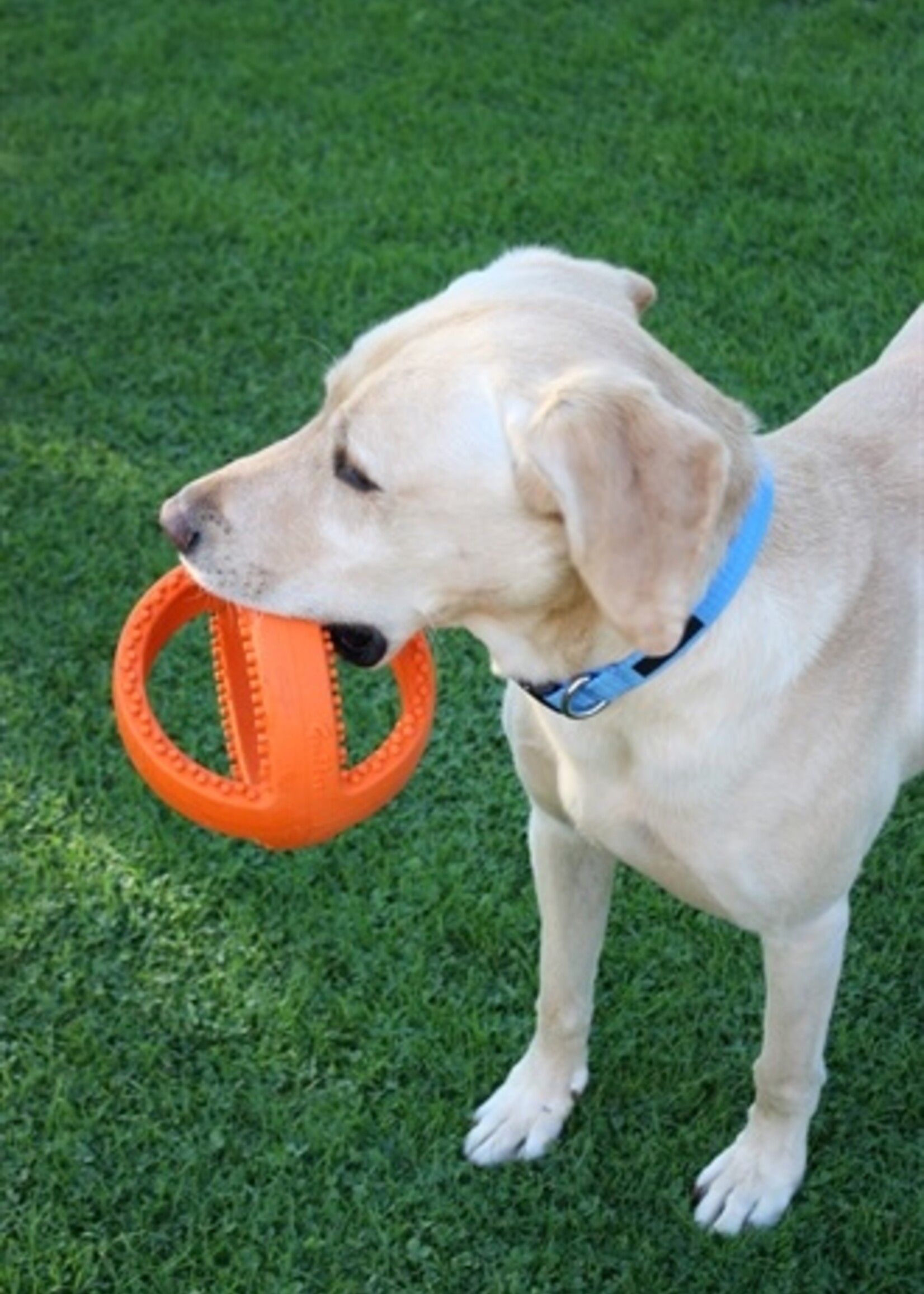 Happy pet Happy pet grubber interactieve voetbal oranje