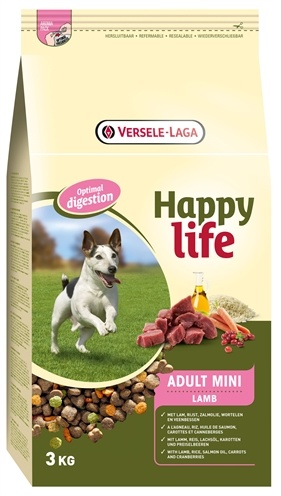 Happy life adult mini lamb