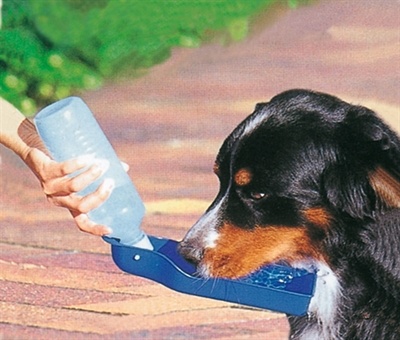 Drinkfles met koord draagbaar