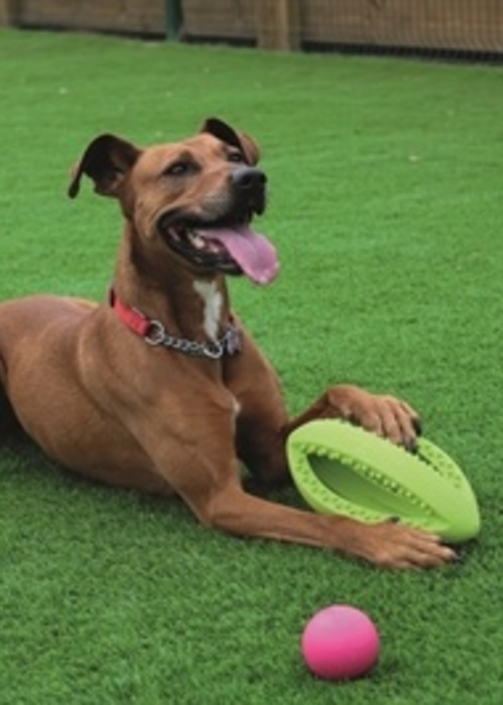 Happy pet Happy pet grubber interactieve rugbybal