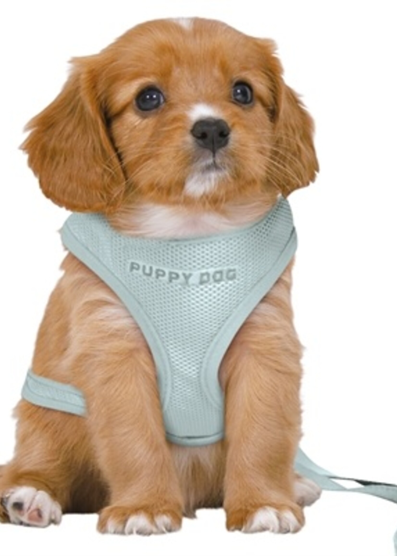 Trixie Trixie hondentuig junior puppy softtuig met riem mintgroen