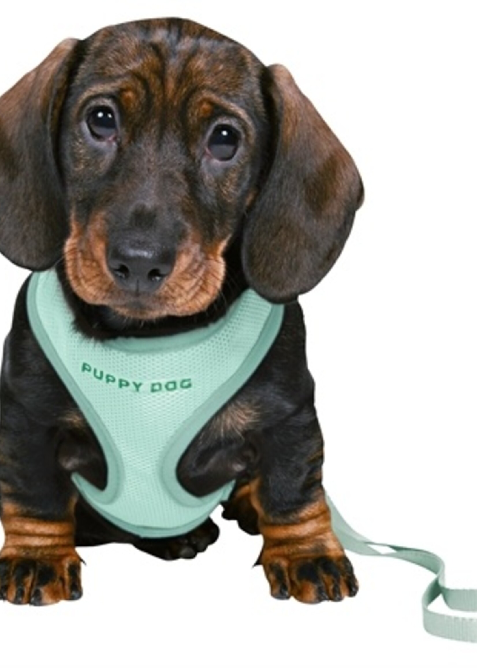 Trixie Trixie junior puppytuig soft met riem mintgroen