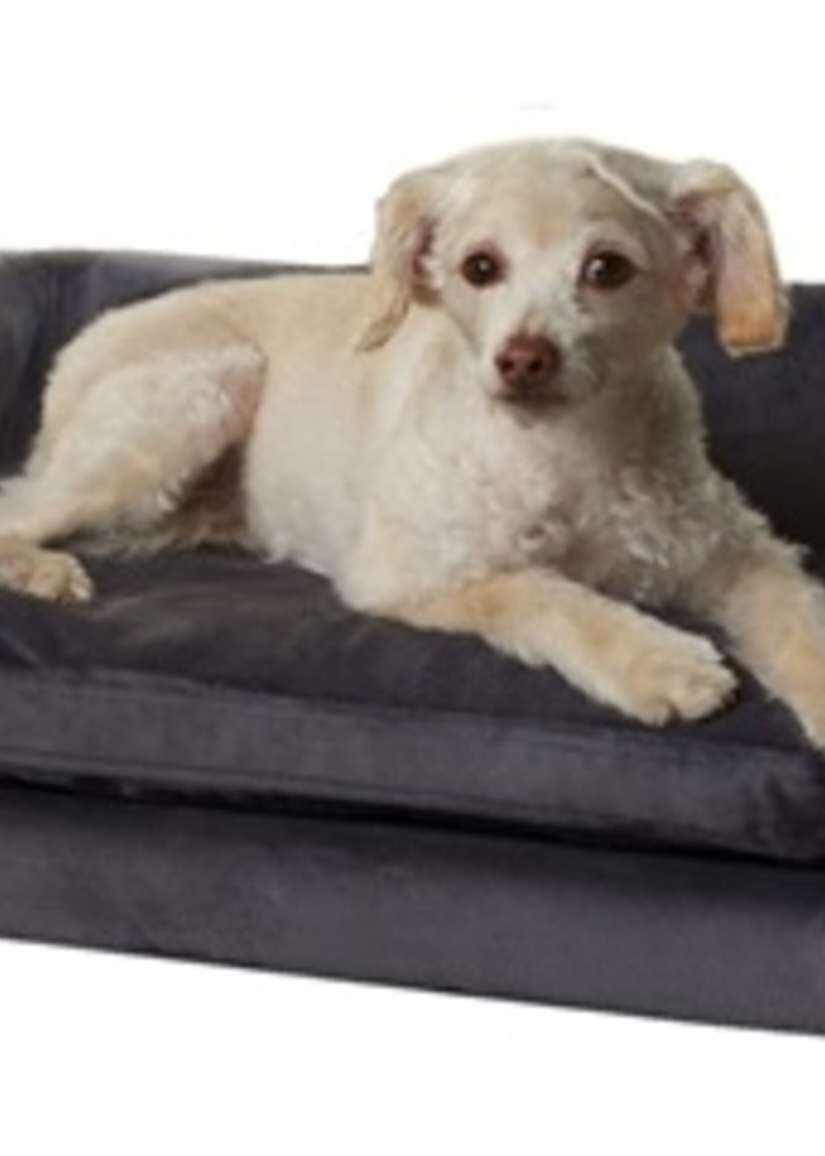 Enchanted pet Enchanted hondenmand / sofa cookie donkergrijs