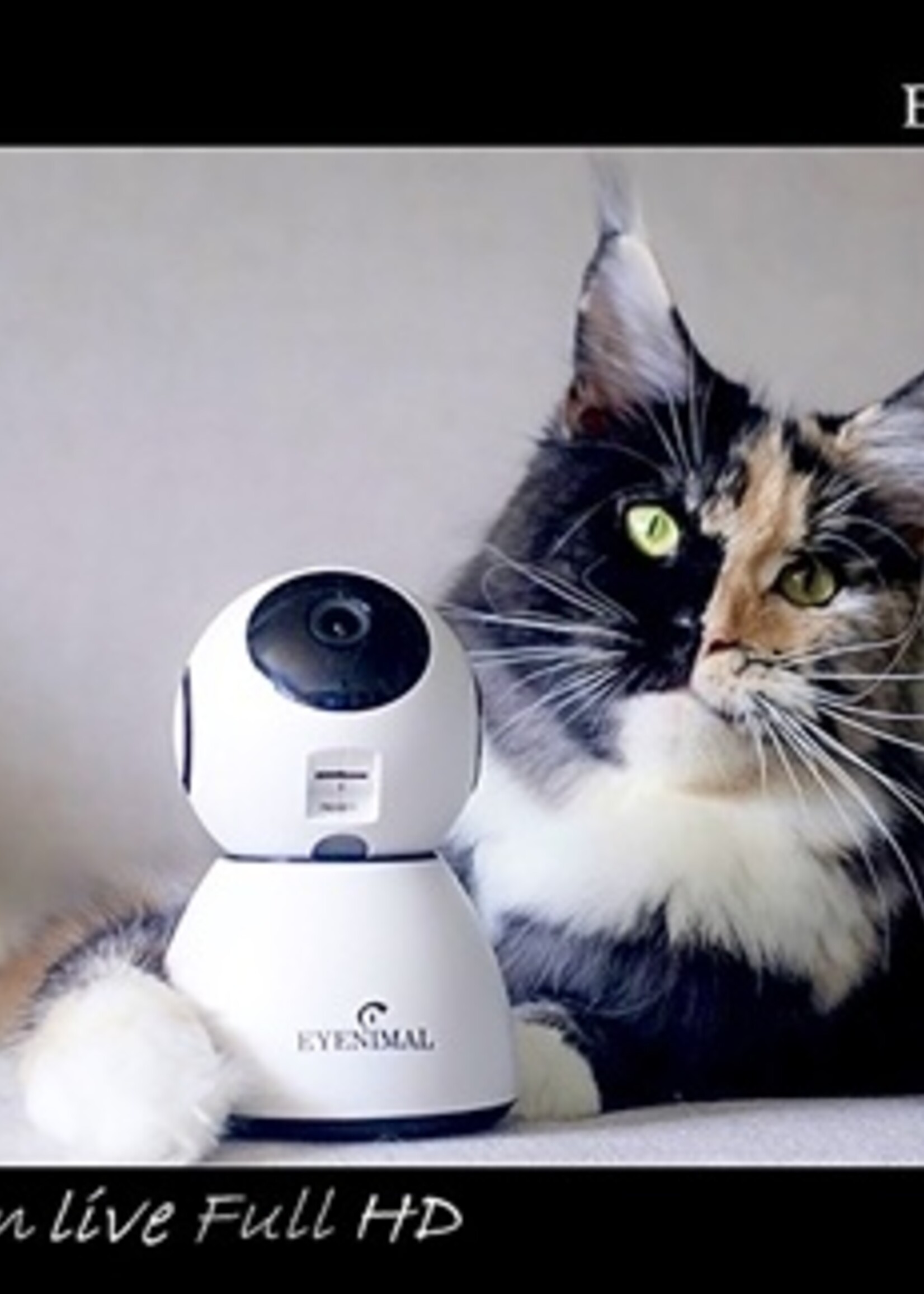 Eyenimal Eyenimal pet vision live hd camera