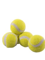 Rosewood Rosewood jolly doggy tennisbal mini