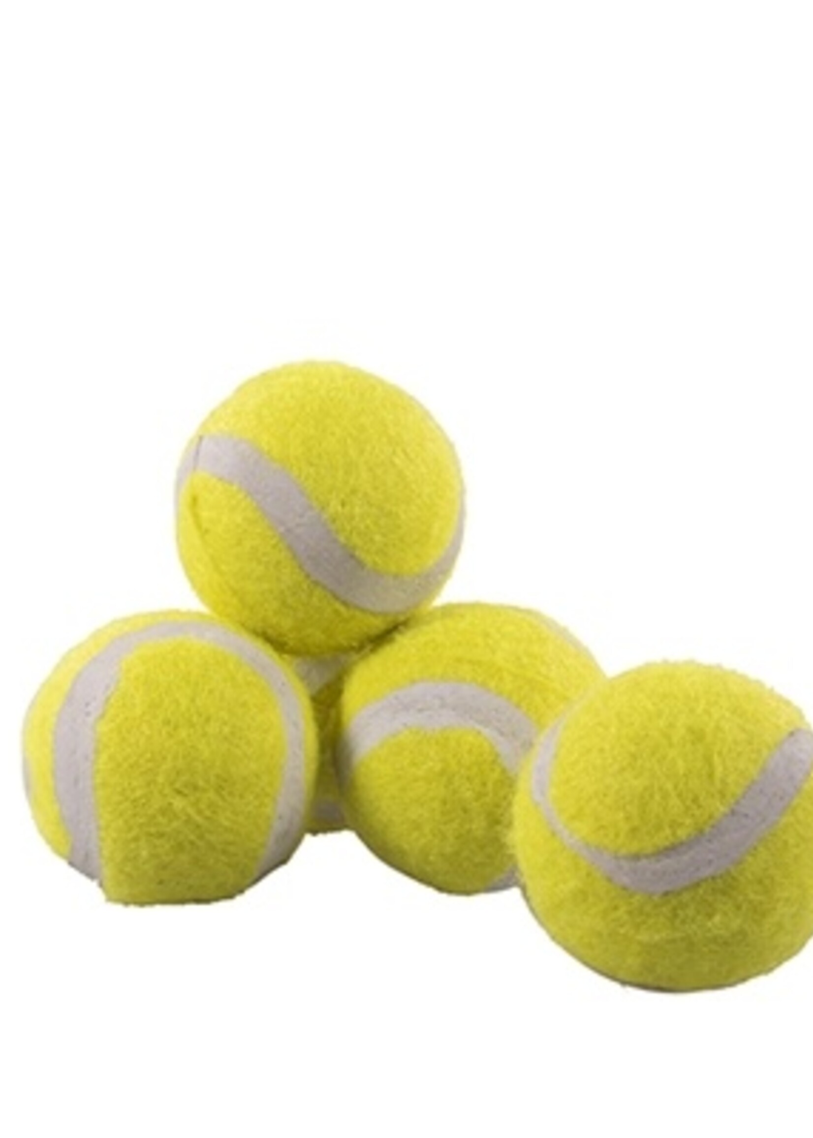 Rosewood Rosewood jolly doggy tennisbal mini