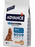 Advance Advance medium adult