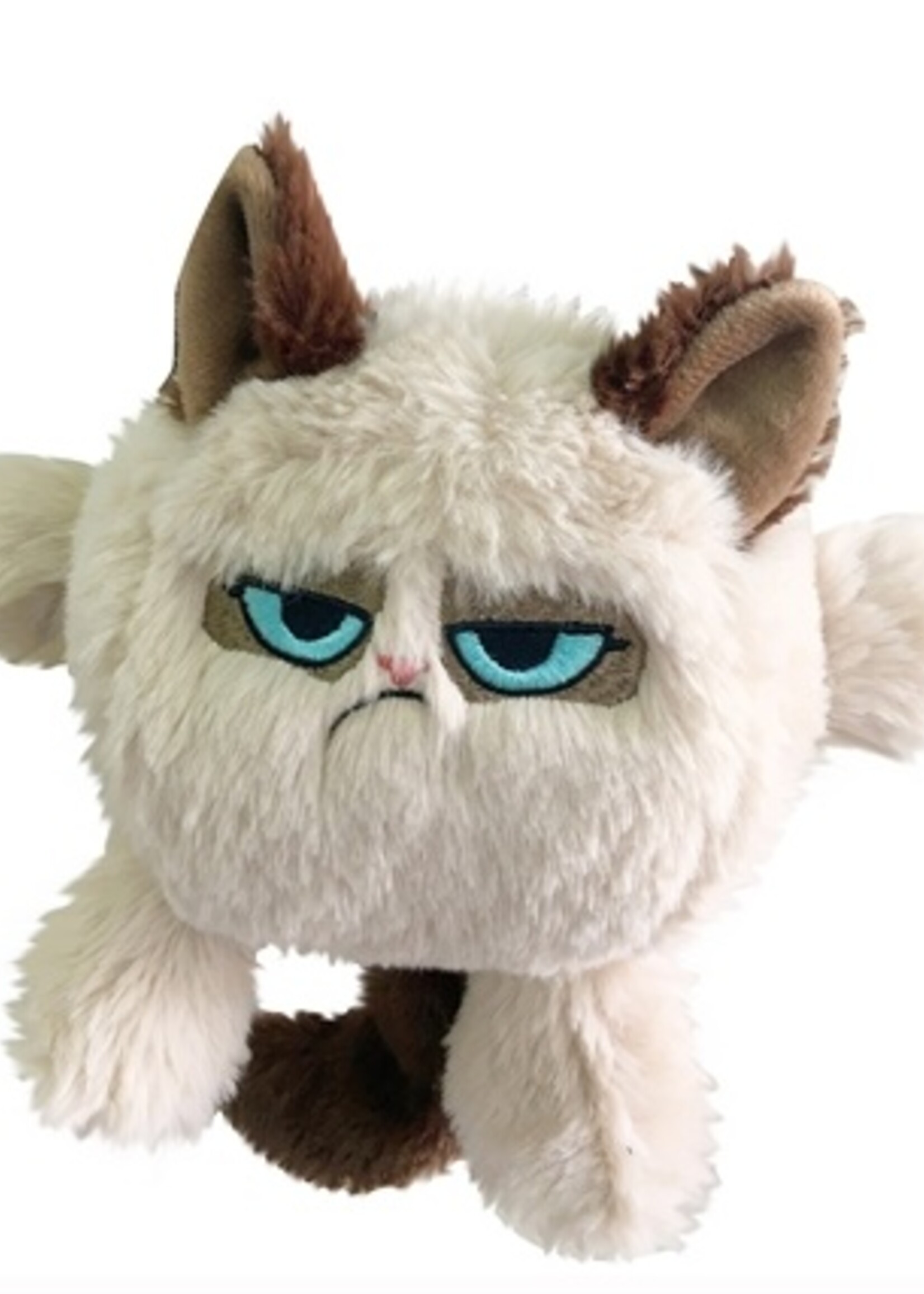 Grumpy cat Grumpy cat kattenkop