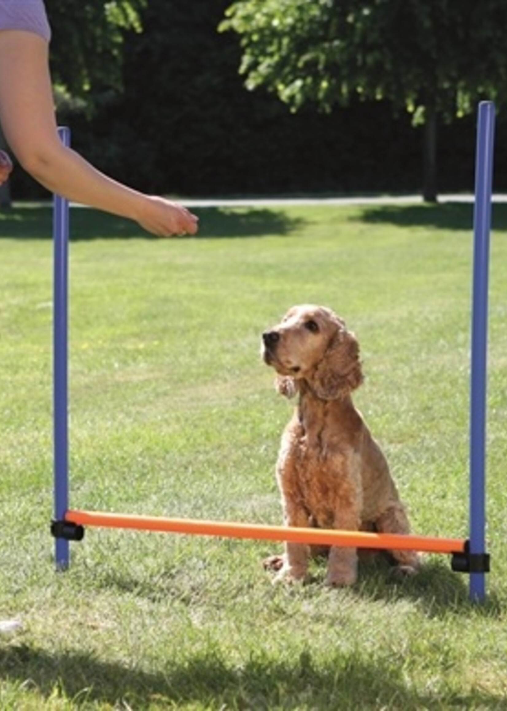 Trixie Trixie dog activity agility horde blauw / oranje