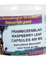 Dierendrogist Dierendrogist frambozenblad capsules