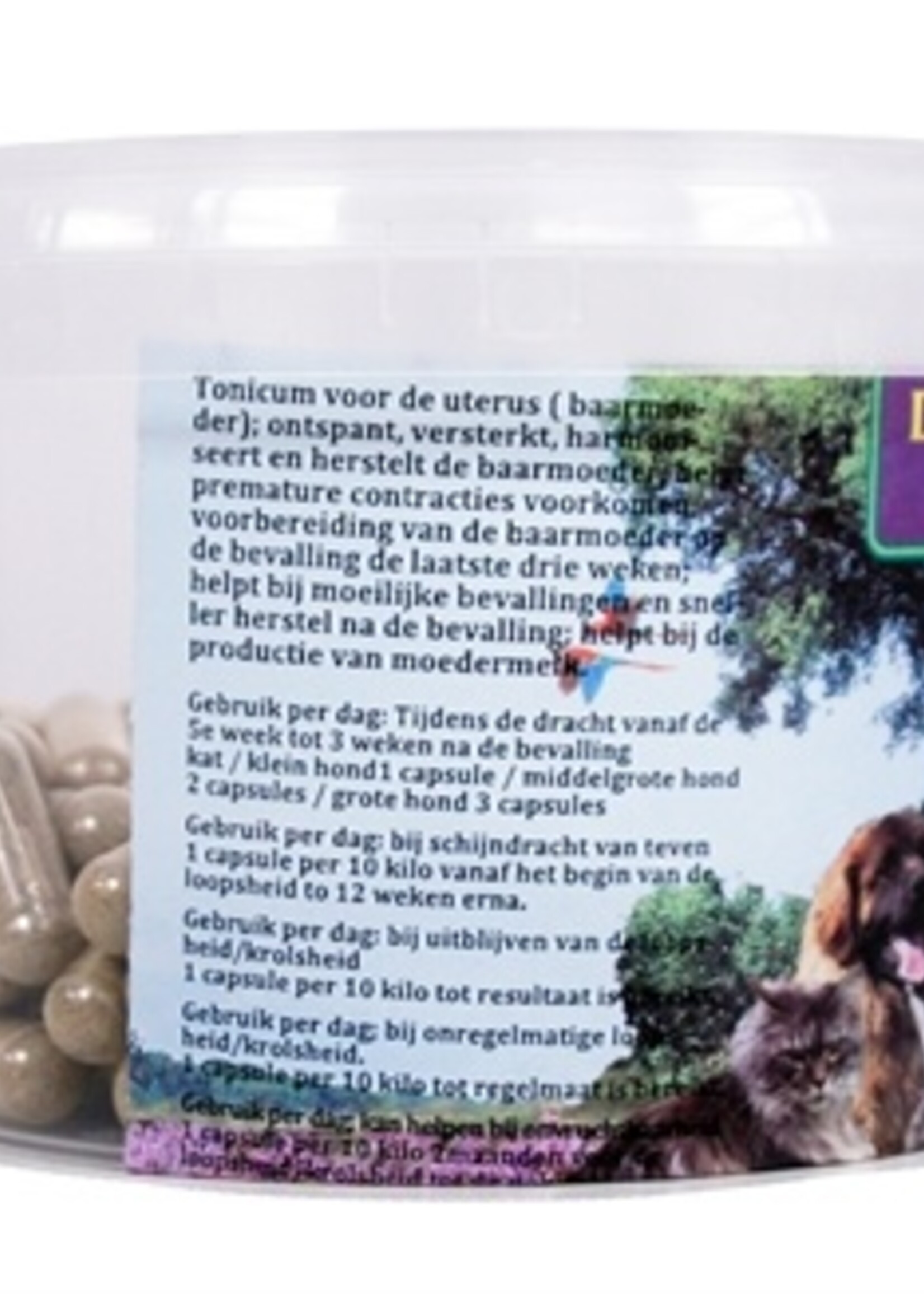 Dierendrogist Dierendrogist frambozenblad capsules