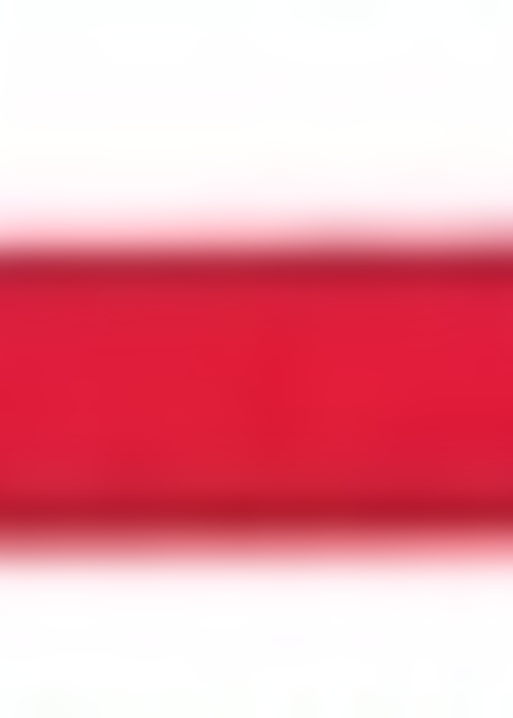 Trixie Trixie hondenriem classic rood