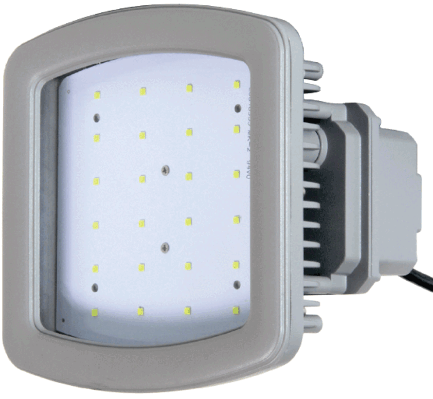 Explosieveilige Breedstraler 30W - Atex zone 1&2, 21&22 - 5000K